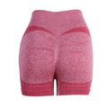 Short Gym Women‘s Gym Shorts High Elasticity Yoga Clothing Absorbent Short Sets Push Up Pants Cycling Jogging Fitness Legging